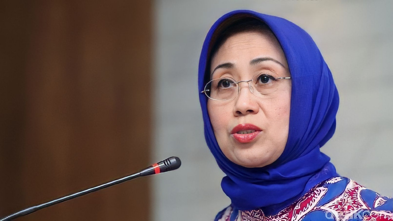 Dr Ninik Rahayu Jabat Ketua Dewan Pers, Berikut Kiprahnya di Organisasi