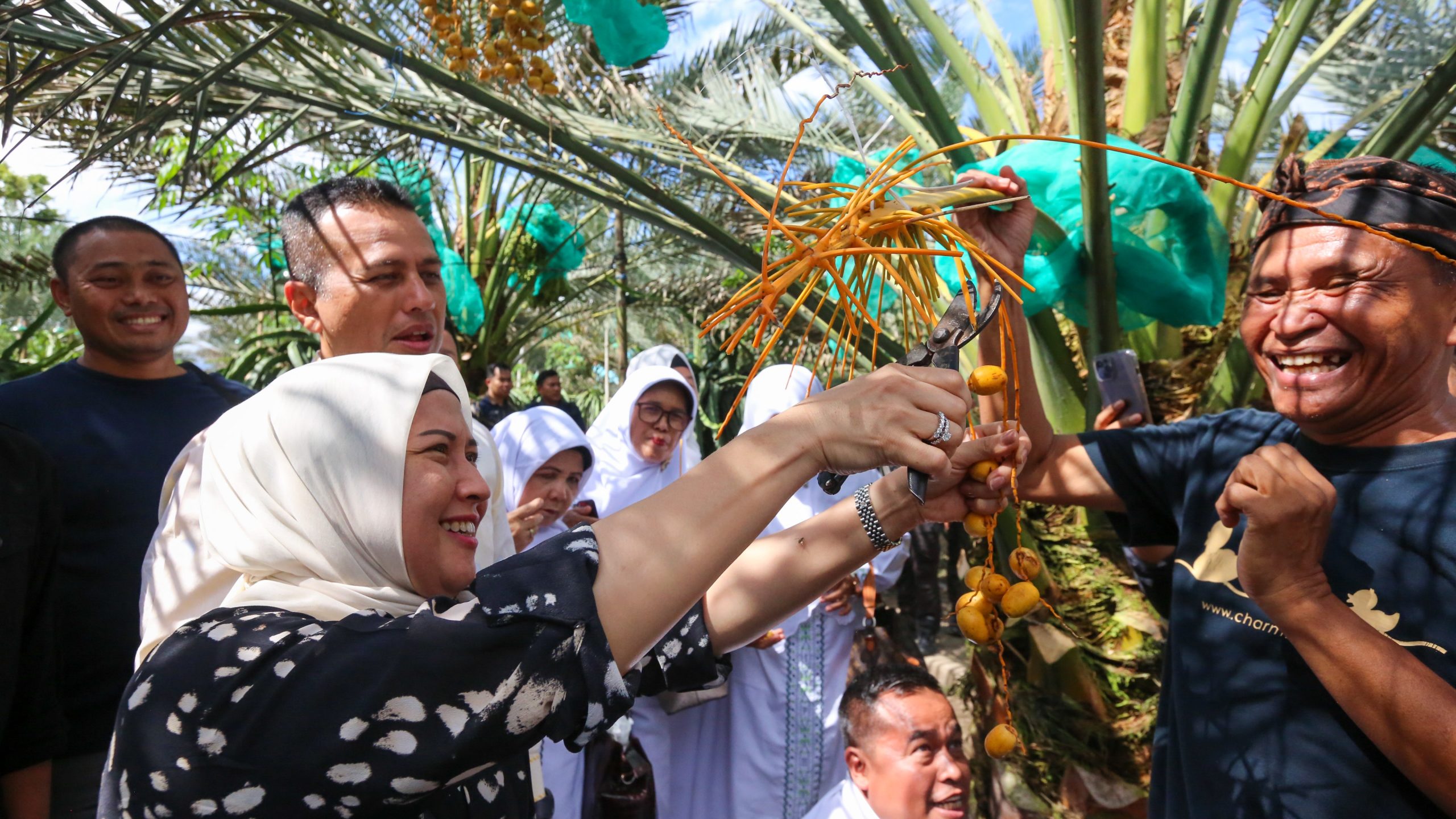 Wisatawan Luar Negeri Datang, Kebun Kurma di Karo Berikan Dampak Ekonomi Sumut