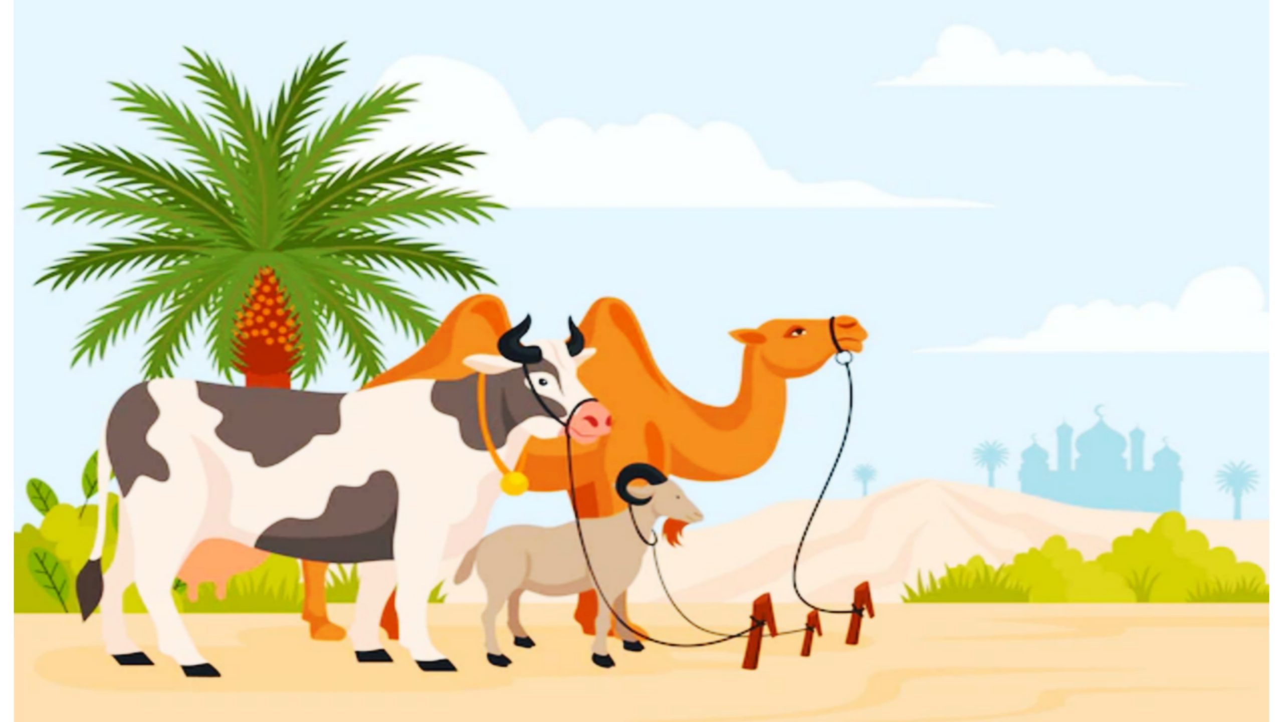 Jenis Hewan Dibolehkan & Tidak Dibolehkan untuk Kurban