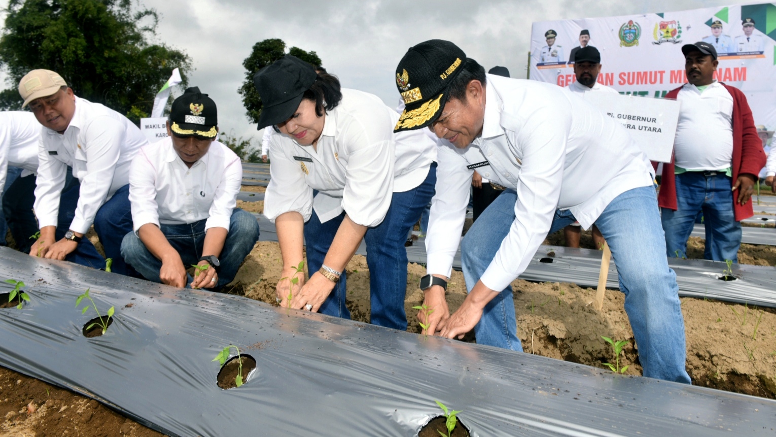 Pj Gubernur Sumut Tanam Cabai dan Beri Bantuan ke Petani Karo