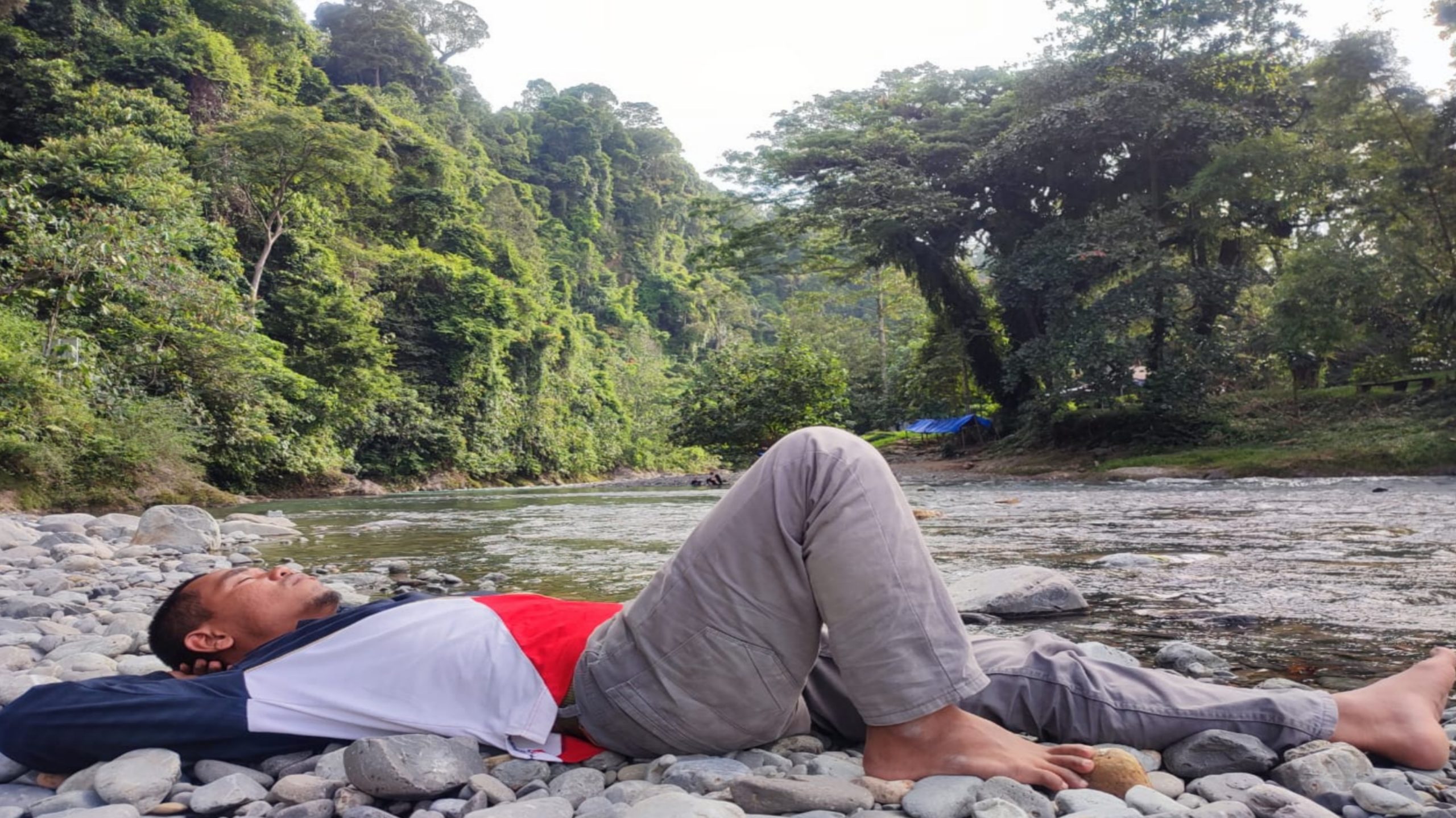 Pembebasan Lahan PTPTN II Seluas 4,8 Ha untuk Kemajuan Wisata Tangkahan