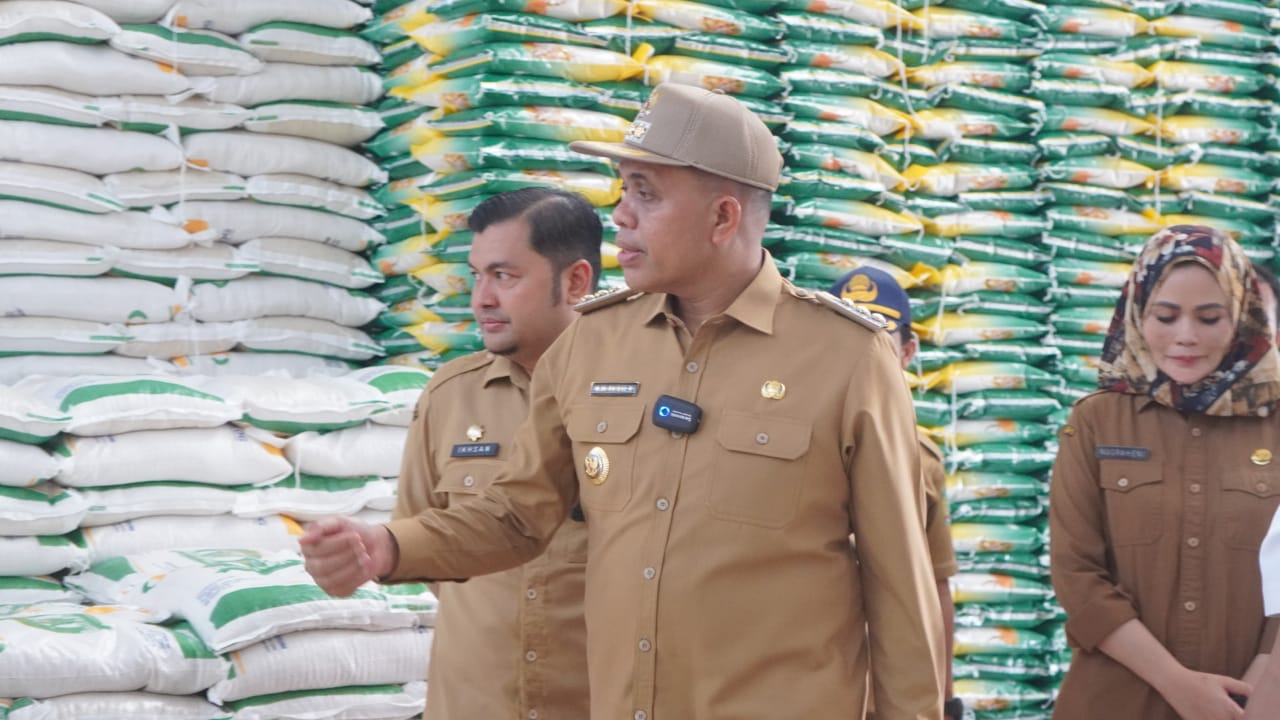 Harga Bahan Pokok di Langkat Dibawah Angka Nasional, Berikut Paparan IPH 2024