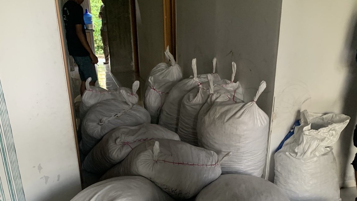 Polisi Tangkap 2 Pelaku Perdagangan Sisik Trenggiling di Tanjung Balai, 987 kg Disita