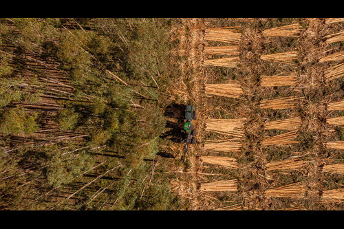 Koltiva Dorong Dialog Multi-Pemangku Kepentingan tentang Regulasi Anti Deforestasi Uni Eropa dan Kepatuhan untuk Keberlanjutan Industri