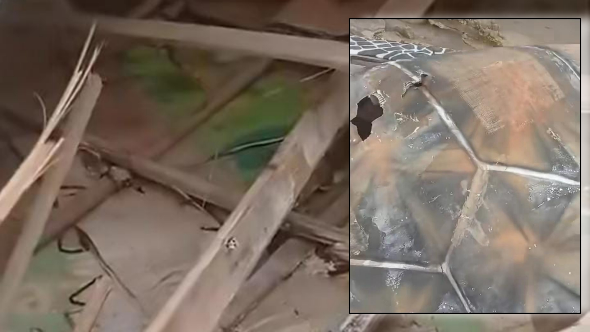 LAWAN Minta Proyek Tugu Kura-Kura Raksasa Sukabumi Diperiksa APH