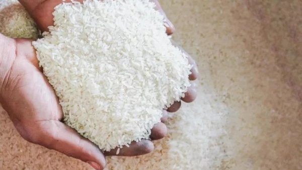 Harga Beras Naik di 214 Daerah, Bulog Targetkan Penyaluran SPHP 1,5 Juta Ton