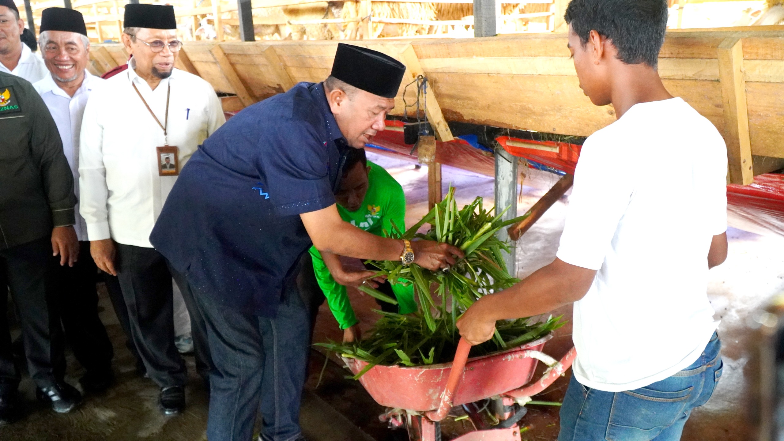 Balai Ternak Kambing Baznas Pertama di Sumut, Lokasi di Langkat