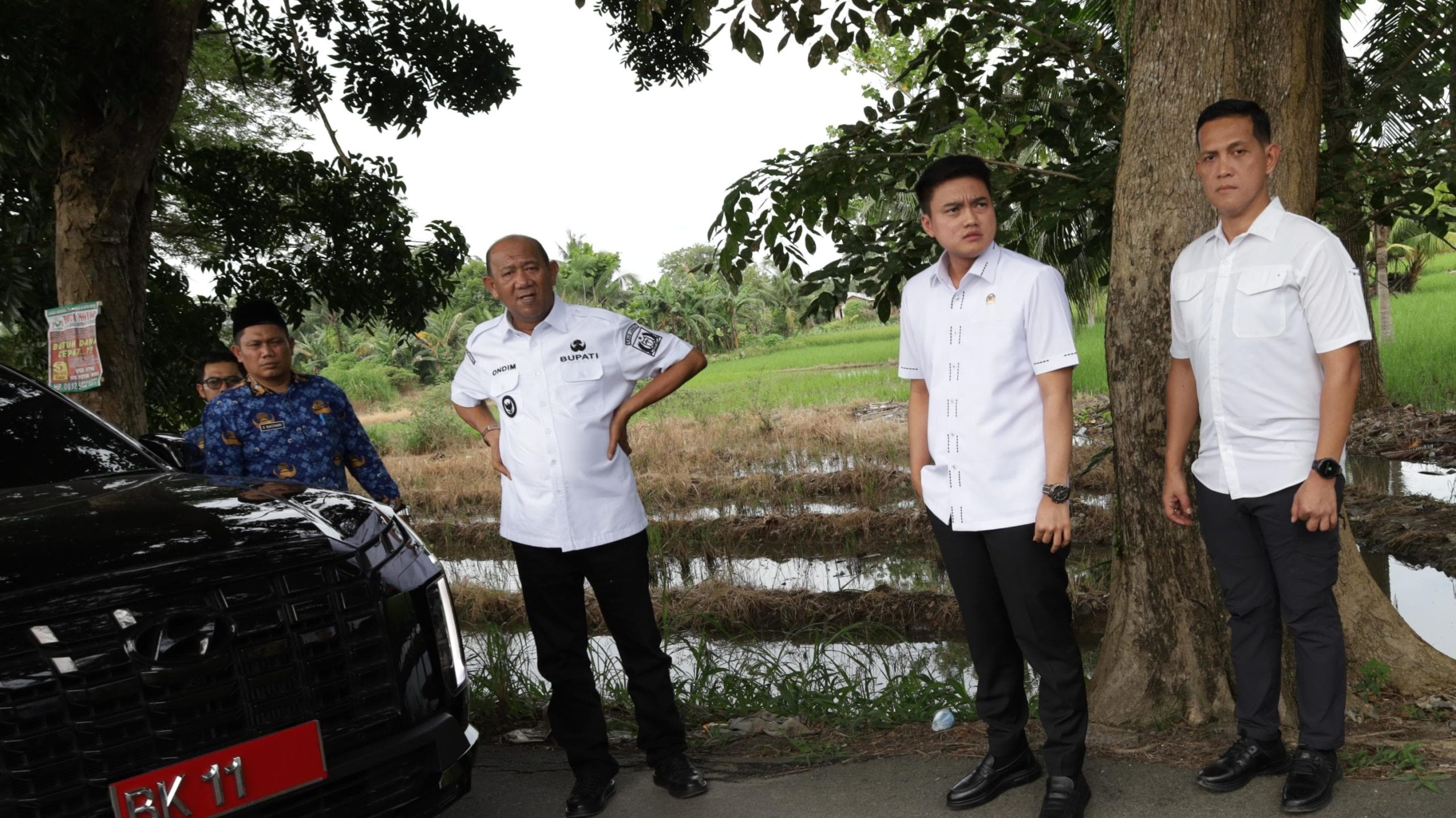 Bung RA Minta Pemkab Langkat Selesaikan Peremajaan Pohon Perindang