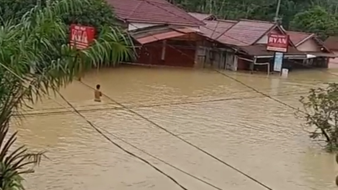Banjir Tanjung Pura Makin Parah, Akses Jalan Lumpuh dan Jaringan Telepon Putus