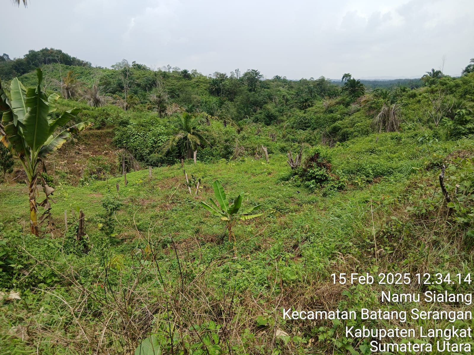 Ahlifungsi Kawasan Hutan Penyebab Banjir Langkat Tenggelamkan 16 Kecamatan