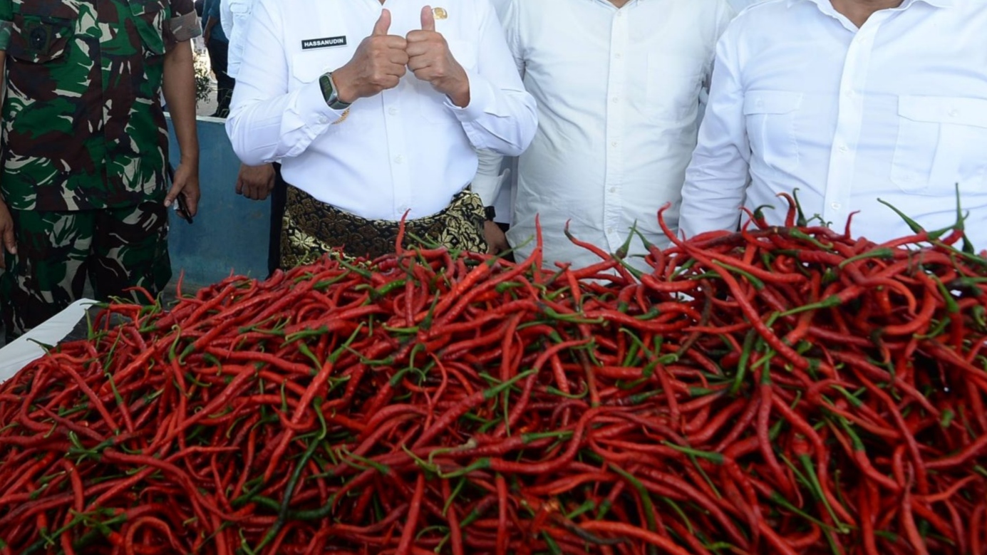 Tercatat 436,99 Ha Tanaman Cabai di Sumut Terdampak Bencana