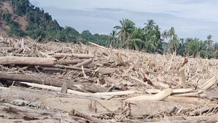 Hutan Dieksploitasi! Sijantung Kirim Ribuan Gelondongan Kayu Mengubur Desa di Aceh Tamiang